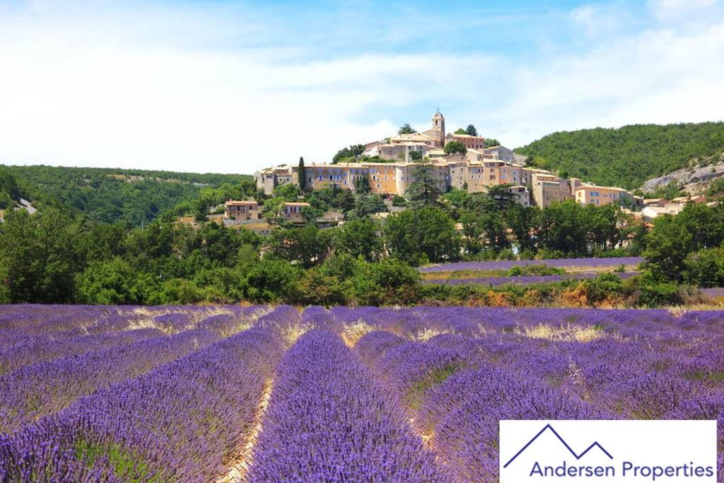 Exploitation viticole HYERES 2500000€ ANDERSEN PROPERTIES